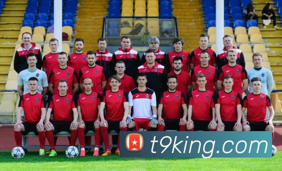 T9娱乐城官网平台生态图