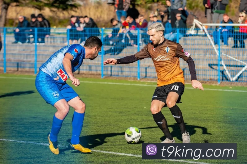 T9娱乐城官网全站App